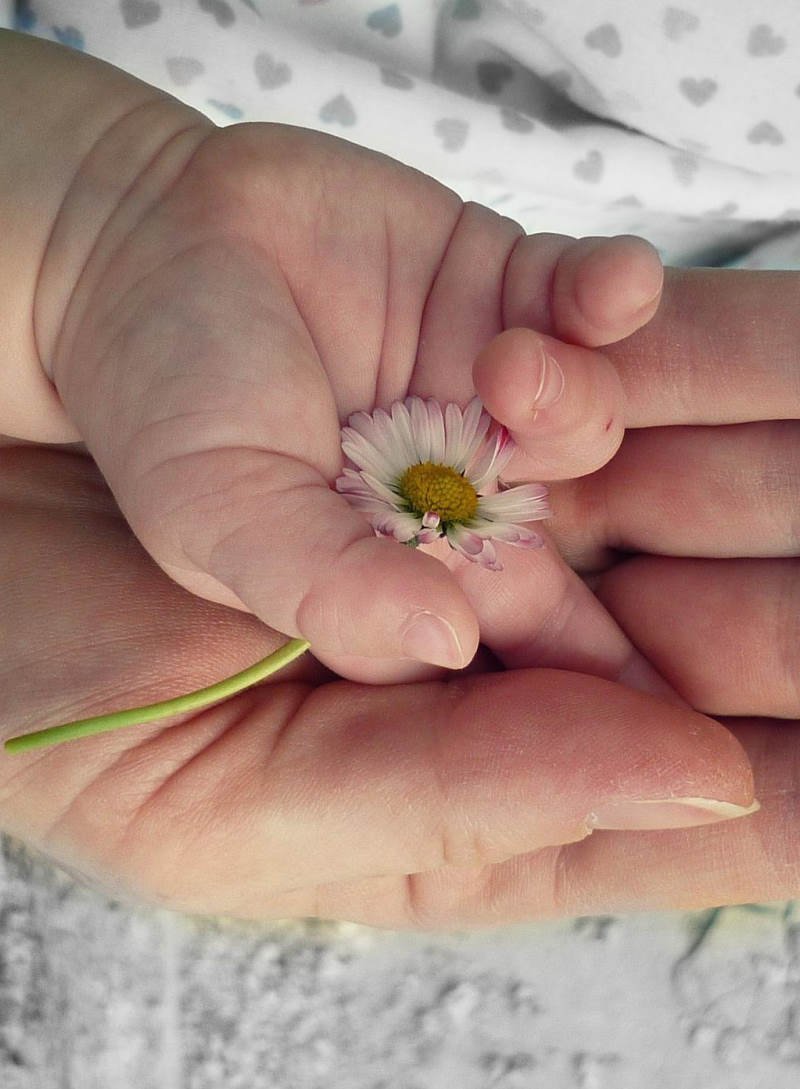 vanessa-lefilducocon-signer-avec-bebe-1
