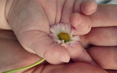 Signer avec bébé